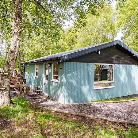 Heather Lodge 10 With Hot Tub Belladrum Exterior photo